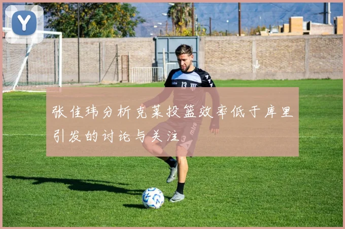 张佳玮分析克莱投篮效率低于库里引发的讨论与关注