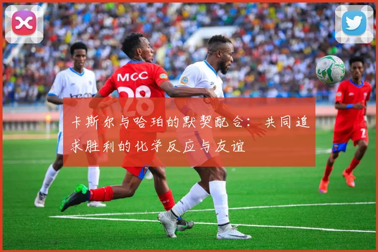 卡斯尔与哈珀的默契配合：共同追求胜利的化学反应与友谊