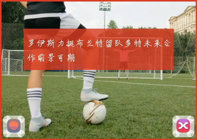 罗伊斯力挺布兰特留队多特未来合作前景可期