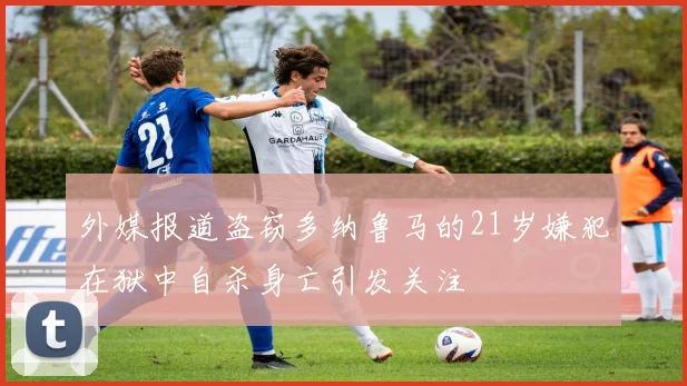 外媒报道盗窃多纳鲁马的21岁嫌犯在狱中自杀身亡引发关注