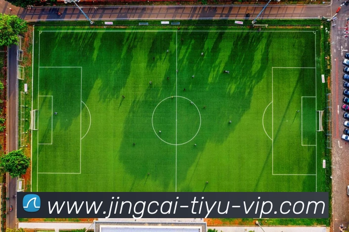 体彩竞彩平台生态图